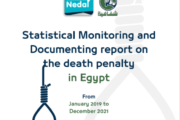 Statistical Monitoring and Documenting report on DP in Egypt (Jan2019-Dec2021)