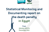 Statistical Monitoring and Documenting report on DP in Egypt (Jan2019-Dec2021)