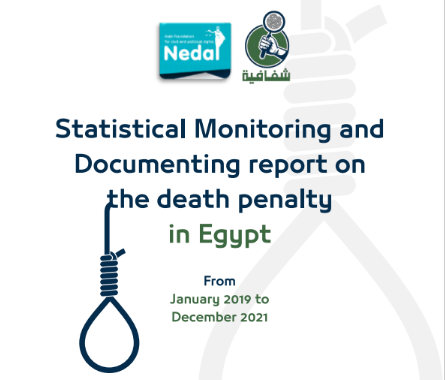 Statistical Monitoring and Documenting report on DP in Egypt (Jan2019-Dec2021)