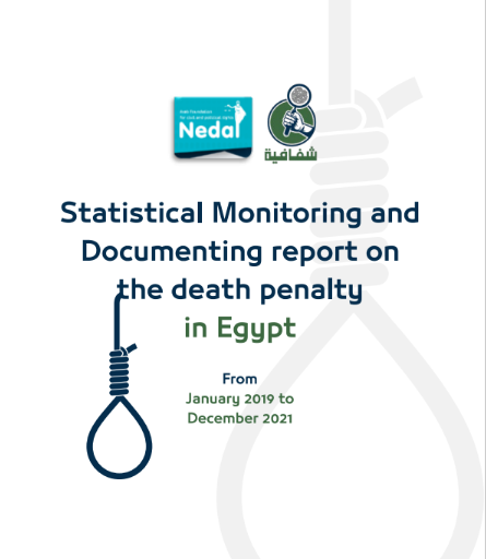 Statistical Monitoring and Documenting report on DP in Egypt (Jan2019-Dec2021)