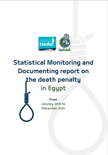 Statistical Monitoring and Documenting report on DP in Egypt (Jan2019-Dec2021)