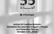 Egypt: Article 55 Coalition documents 6 violations in detention centers and prisons in October