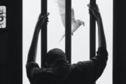تحالف المادة 55 يقدم تقرير للجنة الاستعراض الدوري الشامل بالأمم المتحدة حول أوضاع مقار الاحتجاز والسجون في مصر