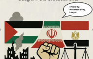 ?Egypt's Human Rights: Caught in the Crosscurrents of Gaza and Iran