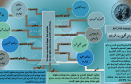 الاستراتيجية والاهداف